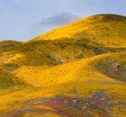 Grasslands Experience Rapid Changes Due To Climate Change And We Need To Protect Them