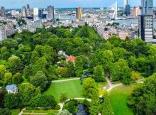 More City Housing Is Possible Without Sacrificing Green Spaces - New Study 