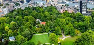 More City Housing Is Possible Without Sacrificing Green Spaces - New Study 