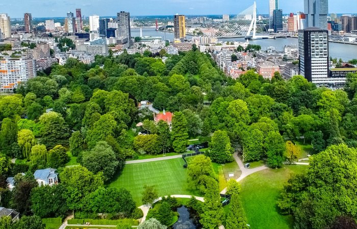 More City Housing Is Possible Without Sacrificing Green Spaces - New Study 