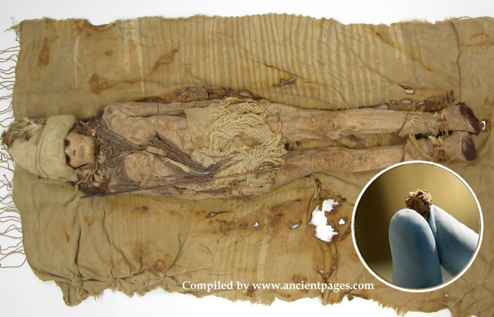 Mysterious White Mass On The Heads Of The Tarim Basin Mummies Identified