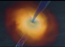 We Know Where Black Holes Get Their Magnetic Fields: Their Parents