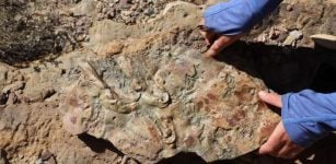 Geologists Update Textbooks With New Insights From Grand Canyon Cambrian Rocks