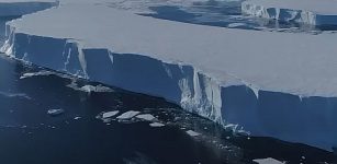 'Doomsday' Antarctic Gacier Is Melting Faster Than Expected, Prompting Calls For Geoengineering