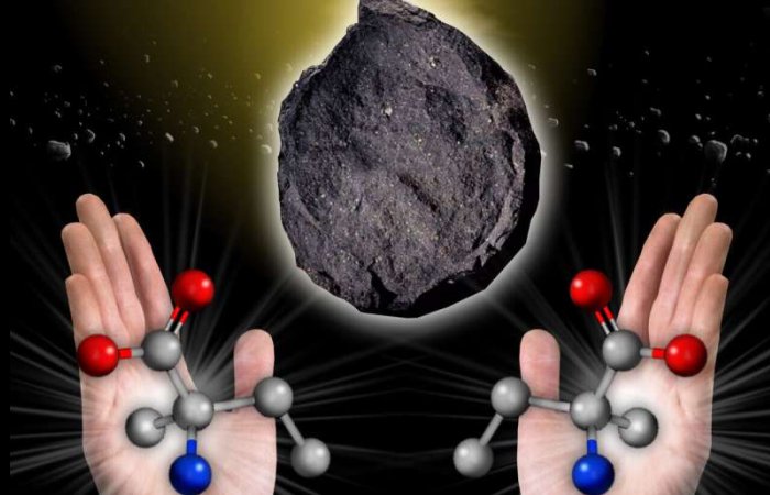 Origin Of Life Research Shows RNA Can Favor Both Left- And Right-Handed Proteins