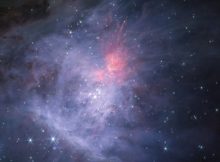 New Theory On Jupiter-Mass Binary Objects Hidden In Orion Nebula