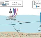 A River Emits Five Times More Methane After Wastewater Treatment - Research