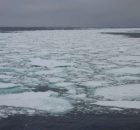 Antarctica's Rapid Melting Shows An Irregular Heartbeat