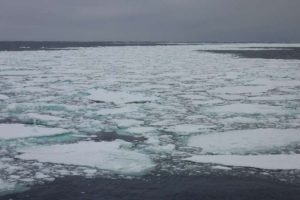 Antarctica's Rapid Melting Shows An Irregular Heartbeat