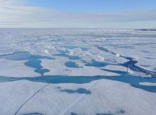 Ice-Free Arctic Approach: Research Warns Of Accelerated Timelines