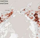 The Arctic Is On Fire - A Yearly Concern For Many Arctic Communities