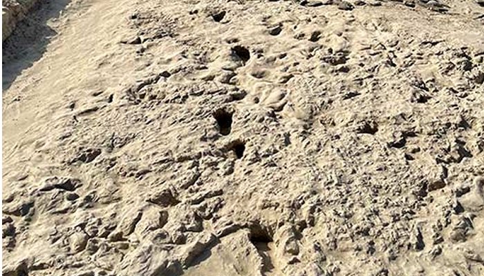 1. 5-Million-Year-Old Footprints Of Two Human Ancestor Species At The Same Location - Discovered