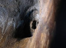 Surprising Mask Of A Human Face Found On Cistern Wall In The Ancient City Of Ptolemais