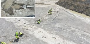 New Footprint Discoveries On Britain’s ‘Dinosaur Highway’