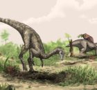 Mystery Of The First Dinosaurs Deepens – Is The Supercontinent Gondwana The Answer?