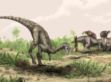 Mystery Of The First Dinosaurs Deepens – Is The Supercontinent Gondwana The Answer?