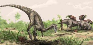 Mystery Of The First Dinosaurs Deepens – Is The Supercontinent Gondwana The Answer?