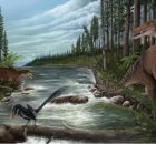 World’s Oldest Carcharodontosaur Fossils In Australia Rewrite Dinosaur Evolution