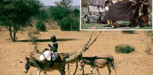 Fulani: One Of Africa's Largest Pastoral Populations - New Study