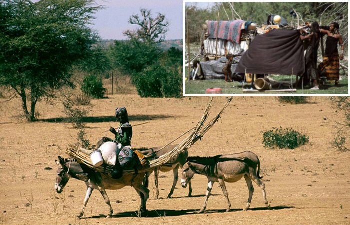 Fulani: One Of Africa's Largest Pastoral Populations - New Study