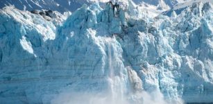 Giant Ice Bulldozers: How Glaciers Shaped Life Evolution