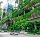 Green Walls Can Combat Urban Heat And Help Biodiversity