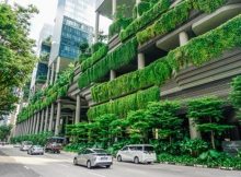 Green Walls Can Combat Urban Heat And Help Biodiversity