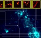 Ancient Stellar Nurseries: Certain Stars Originate From Diffuse Clouds Of Gas And Dust