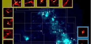 Ancient Stellar Nurseries: Certain Stars Originate From Diffuse Clouds Of Gas And Dust