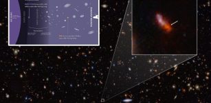 Unexpectedly Complex Chemistry In Primordial Galaxy Revealed By JWST