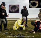 Operation Nightingale – Veterans Uncover Impressive 2,000-Year-Old Celtic Treasure