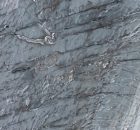 Crevasse Icequakes On Alpine Glacier Detected By Fiber Optic Cable On Glacier