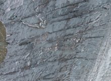 Crevasse Icequakes On Alpine Glacier Detected By Fiber Optic Cable On Glacier