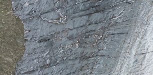 Crevasse Icequakes On Alpine Glacier Detected By Fiber Optic Cable On Glacier