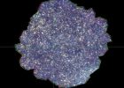'Hidden Galaxies' May Be Key To Solving The Universe' s Secrets
