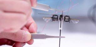 Insect-Sized Jumping Robot That Can Traverse Challenging Terrains