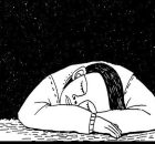 Regular Sleep Boosts Our Immune System And Improves Mental Health